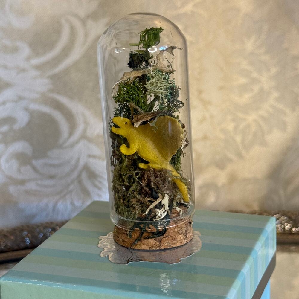 Mini Dinosaur Terrarium Glass Cloche Moss Diorama Fantasy Display